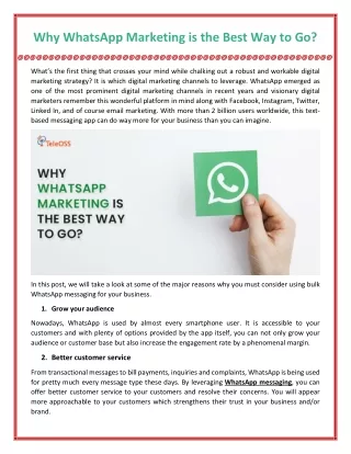 Why WhatsApp Marketing is the Best Way to Go?