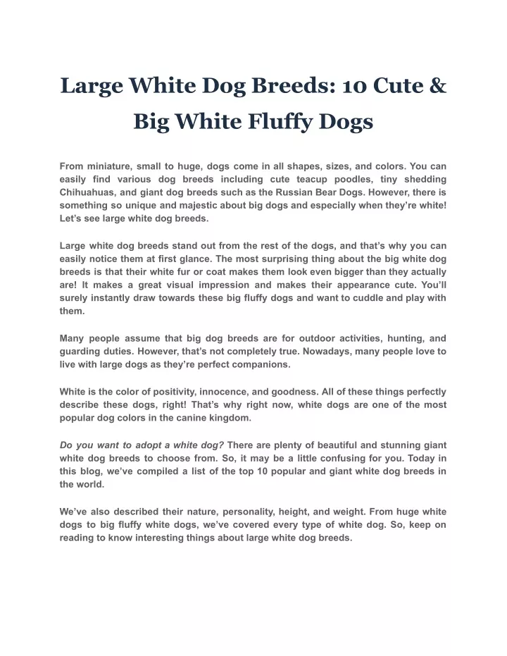large white dog breeds 10 cute