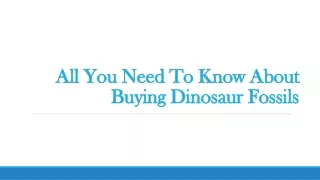 all you need to know about buying dinosaur fossils