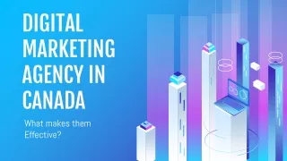 digital marketing agency in canada