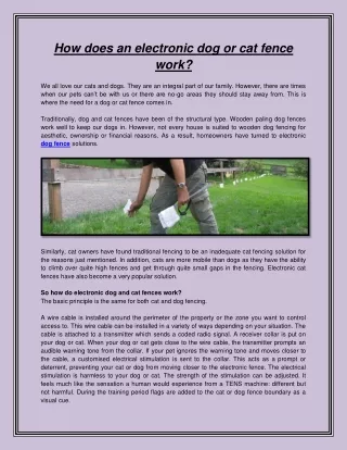 how does an electronic dog or cat fence work