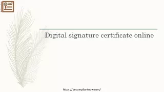 Get Digital signature certificate online at very decent price| paperless dsc