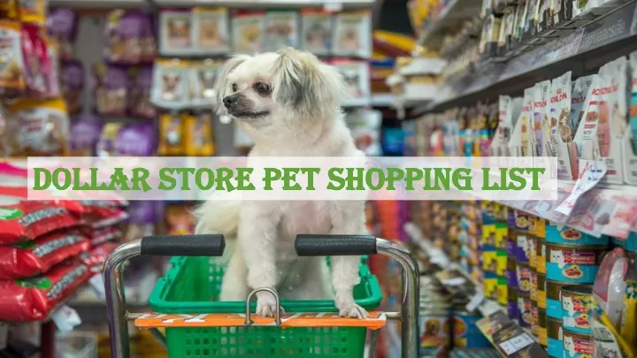 dollar store pet shopping list