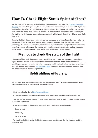 How To Check Flight Status Spirit Airlines