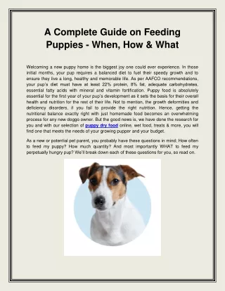 A Complete Guide on Feeding Puppies - When, How & What