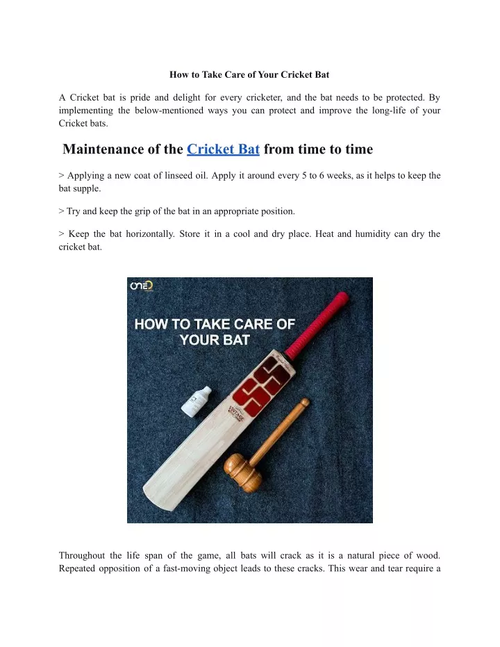 how to take care of your cricket bat