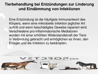 Tierbehandlung bei Entzündungen zur Linderung und Eindämmung von Infektionen