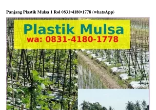 Panjang Plastik Mulsa 1 Rol O8ᣮl.Կl8O.l778{WhatsApp}