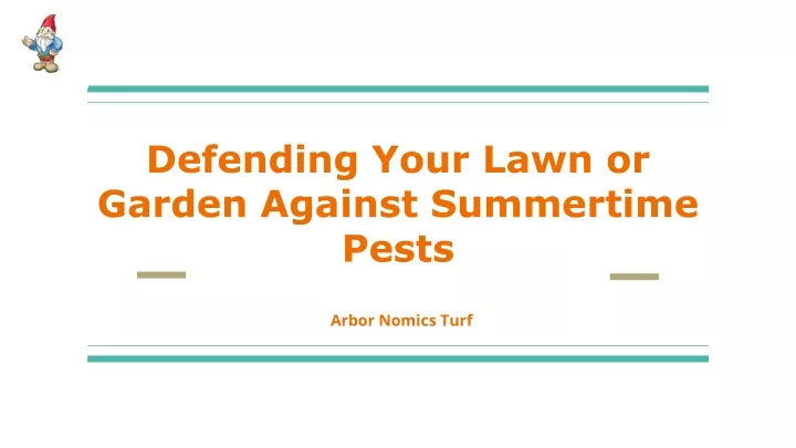 defending your lawn or garden against s ummertime pests