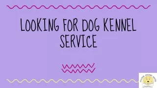 Looking for Dog Kennel Service