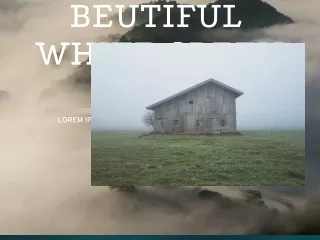 beutiful white green hills