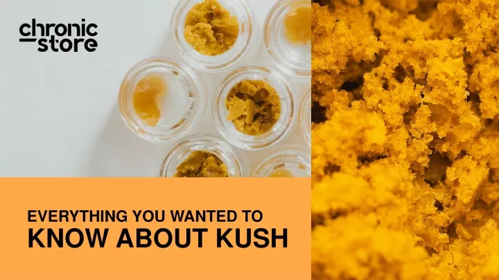 everything you wanted to know about kush