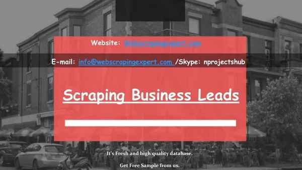 website webscrapingexpert com