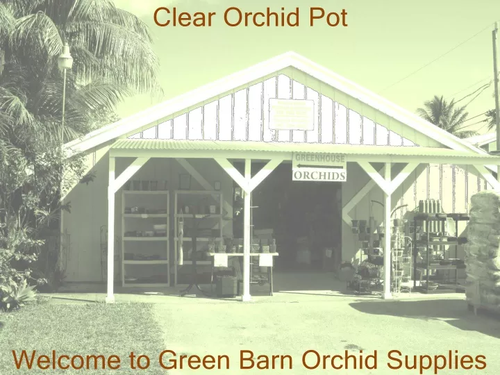 welcome to green barn orchid supplies