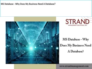 MS Database - Why Does My Business Need A Database