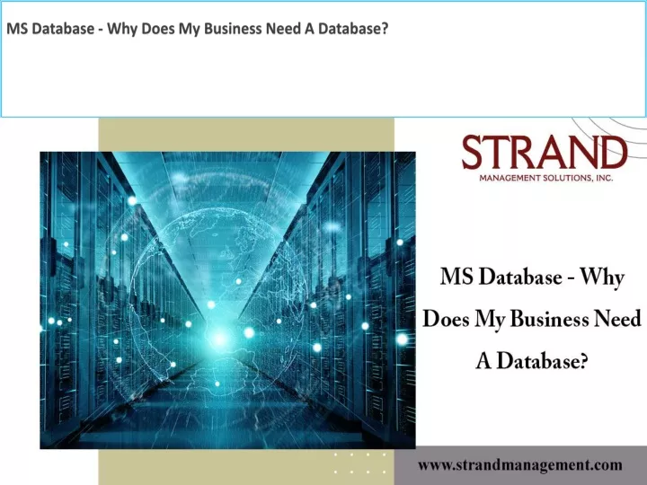 ms database why does my business need a database
