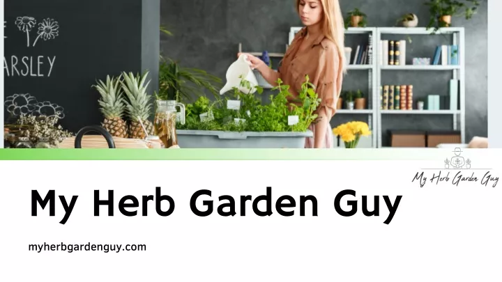 my herb garden guy