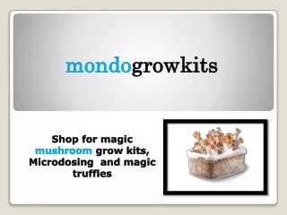 Microdosing and magic truffles Shop for magic mushroom grow kits