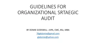 STRATEGIC AUDIT REPORT- GUIDELINES