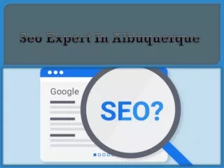 seo expert in albuquerque