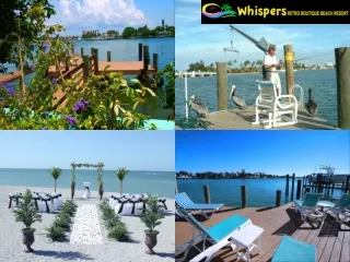 Best Places to Stay St Petersburg Florida