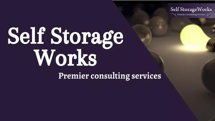 self storage works premier consulting services