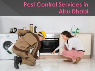 Pest Control Services in Abu Dhabi