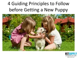 4 guiding principles to follow before getting