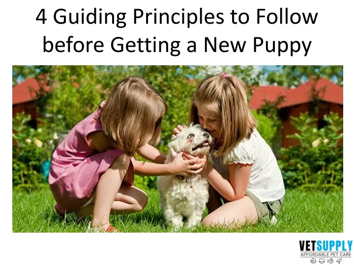 4 guiding principles to follow before getting
