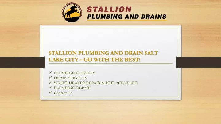 stallion plumbing and drain salt lake city