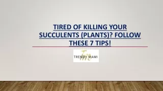 Trendymami - Tired of Killing Your Succulents (Plants)? Follow These 7 Tips!