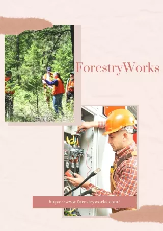 Explore Land Management Forester Jobs Salary