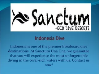 Indonesia Dive