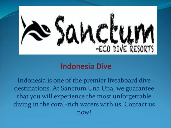 indonesia dive
