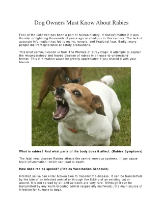 dog owners must know about rabies