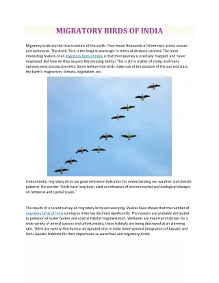 migratory birds of india