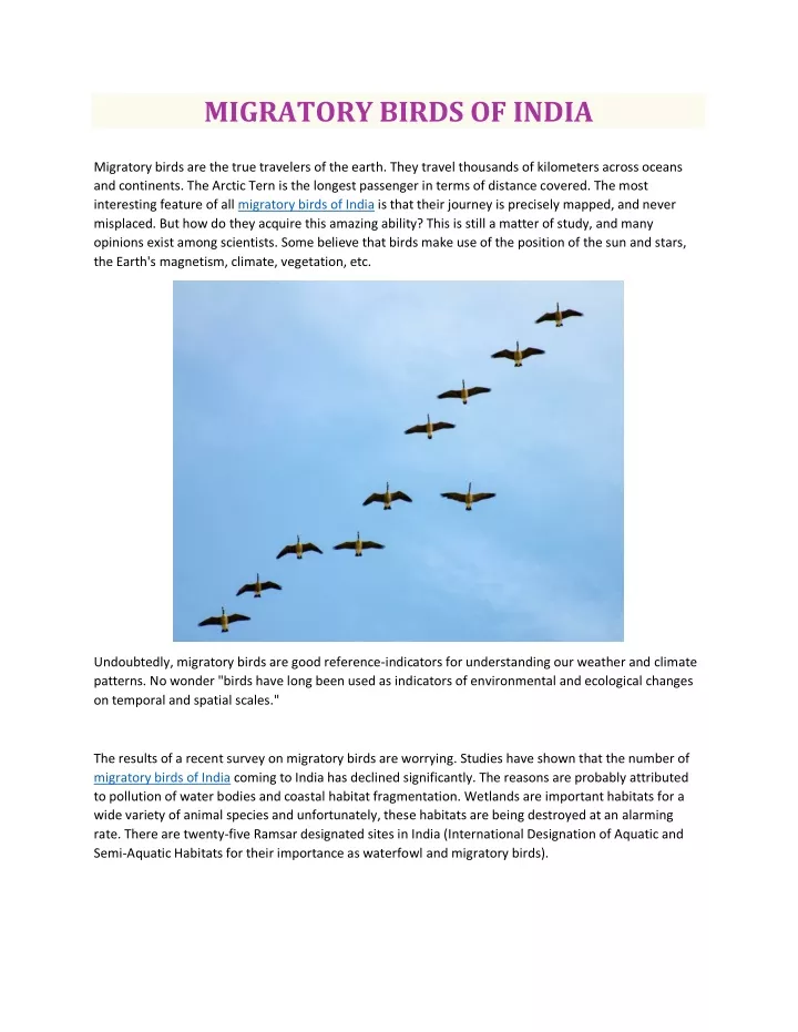 powerpoint presentation on migratory birds in india