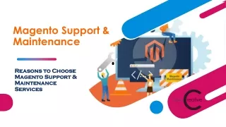 Reasons to Choose Magento Support & Maintenance Services