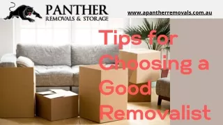 www apantherremovals com au