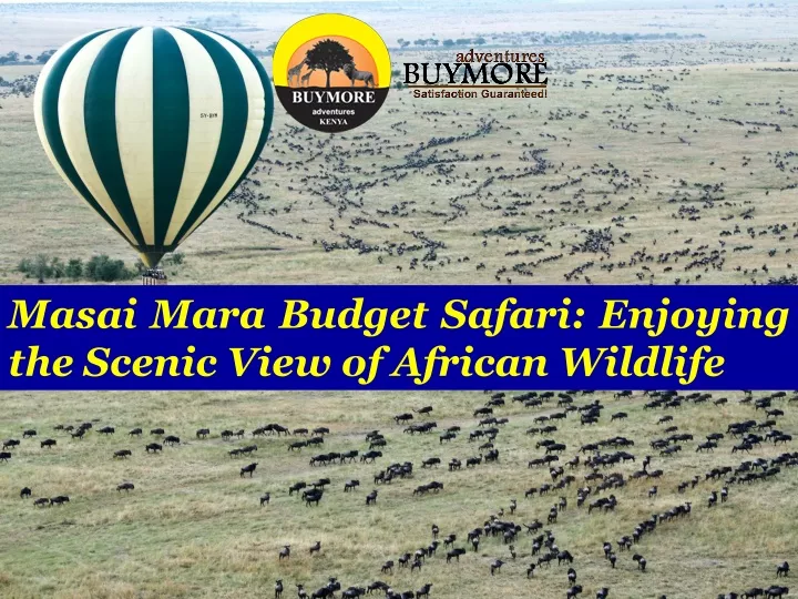 masai mara budget safari enjoying the scenic view