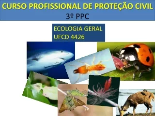curso profissional de prote o civil 3 ppc