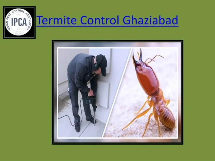 PPT Termite Control Ghaziabad PowerPoint Presentation, free download
