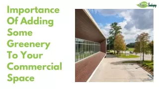 importance of adding some greenery to your