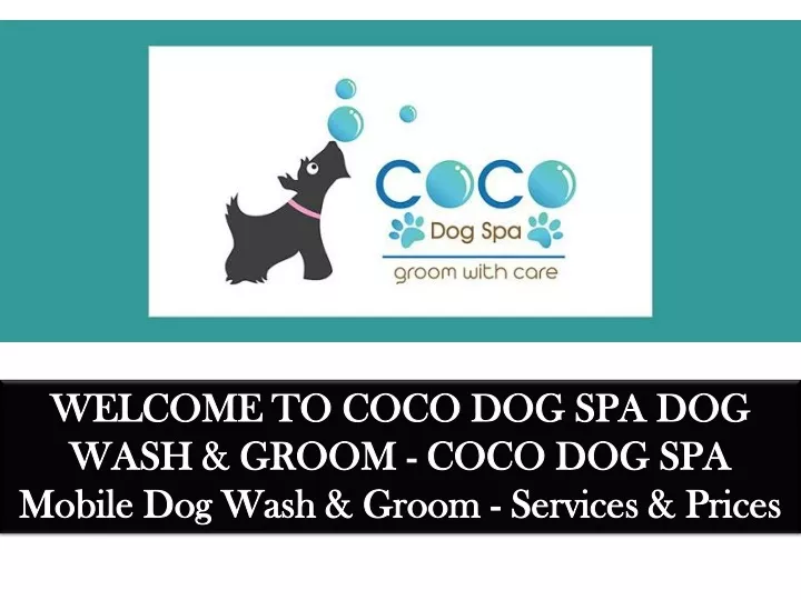 welcome to coco dog spa dog wash groom coco
