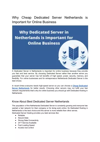Why Dedicated Server in Netherlands is Important for Online Business