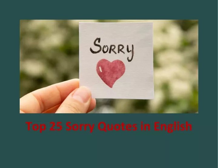 top 25 sorry quotes in english