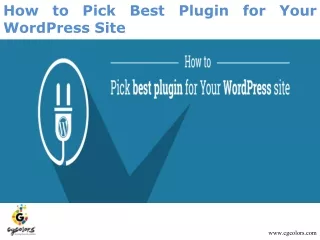 How to pick best plugin for your WordPress site- CGColors