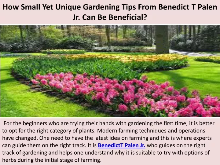 how small yet unique gardening tips from benedict t palen jr can be beneficial