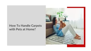 How to Handle Carpets with Pets at Home