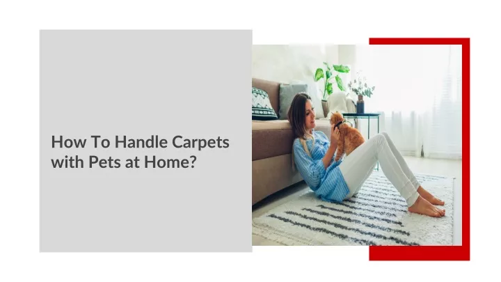 how to handle carpets with pets at home
